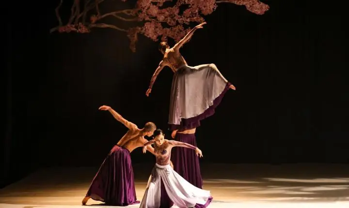 GALPÃO 1 CIA DE DANÇA REPRESENTA INDAIATUBA EM   UM DOS PRINCIPAIS EVENTOS DE DANÇA DO PAÍS